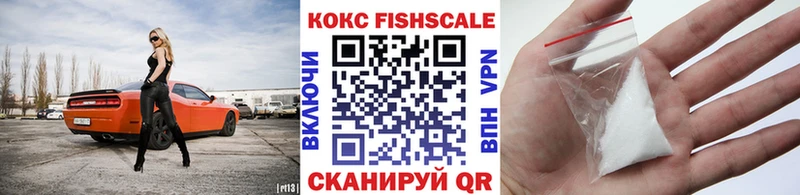 Купить закладки  Сосновый Бор  COCAIN Fish Scale 