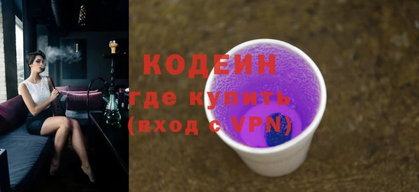 мдпв Инсар