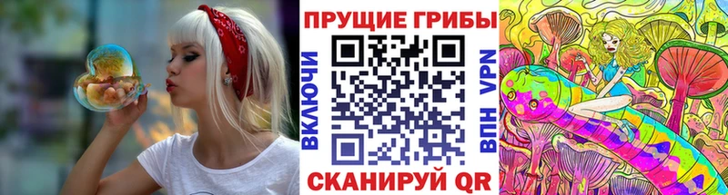 Псилоцибиновые грибы мицелий  Купить где  Сосновый Бор 